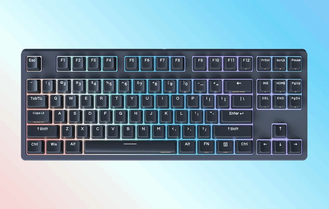 Anne Classic D87 RGB, 87 Keys Single Mode Wired Mechanical Keyboard