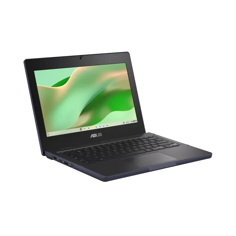 ASUS CZ110 Chromebook - Chrome OS - 11.6" touchscreen - 4 GB - 64 gb eMMc - Mineral Grey