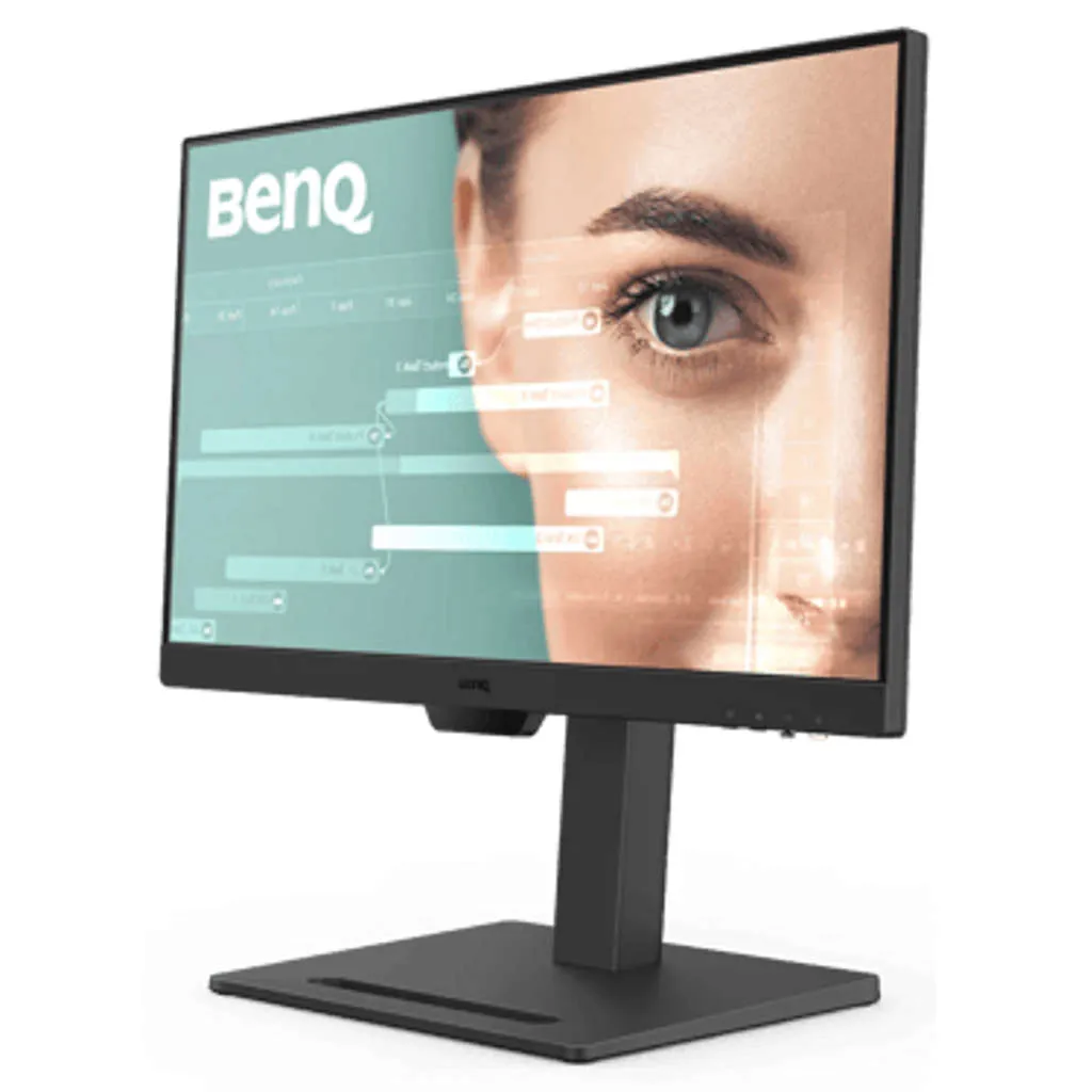 BenQ Full HD LED Backlit IPS Panel Monitor 23.8 Inch GW2490T