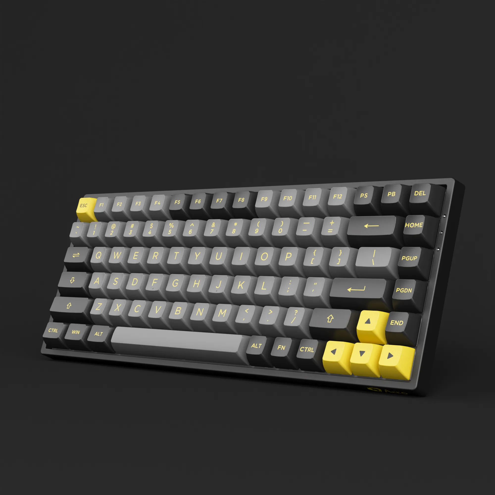 Black & Gold 3084B Plus