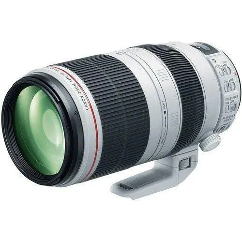 Canon 5D Mark IV EOS DSLR Camera with 24-105mm f/4L IS II USM   100-400mm USM II