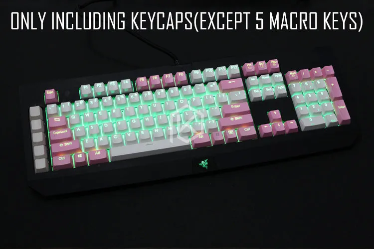 Capturer Backlit Doubleshot PBT Keycap Set Durable Shine-Through Legends OEM profile Compatible for razer black widow