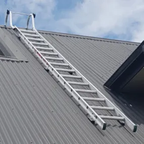 Easy Access Trade Series Roof Ladders