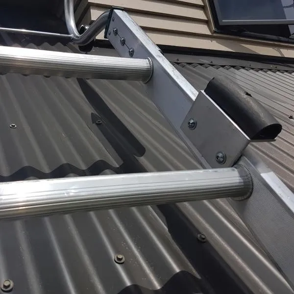 Easy Access Trade Series Roof Ladders