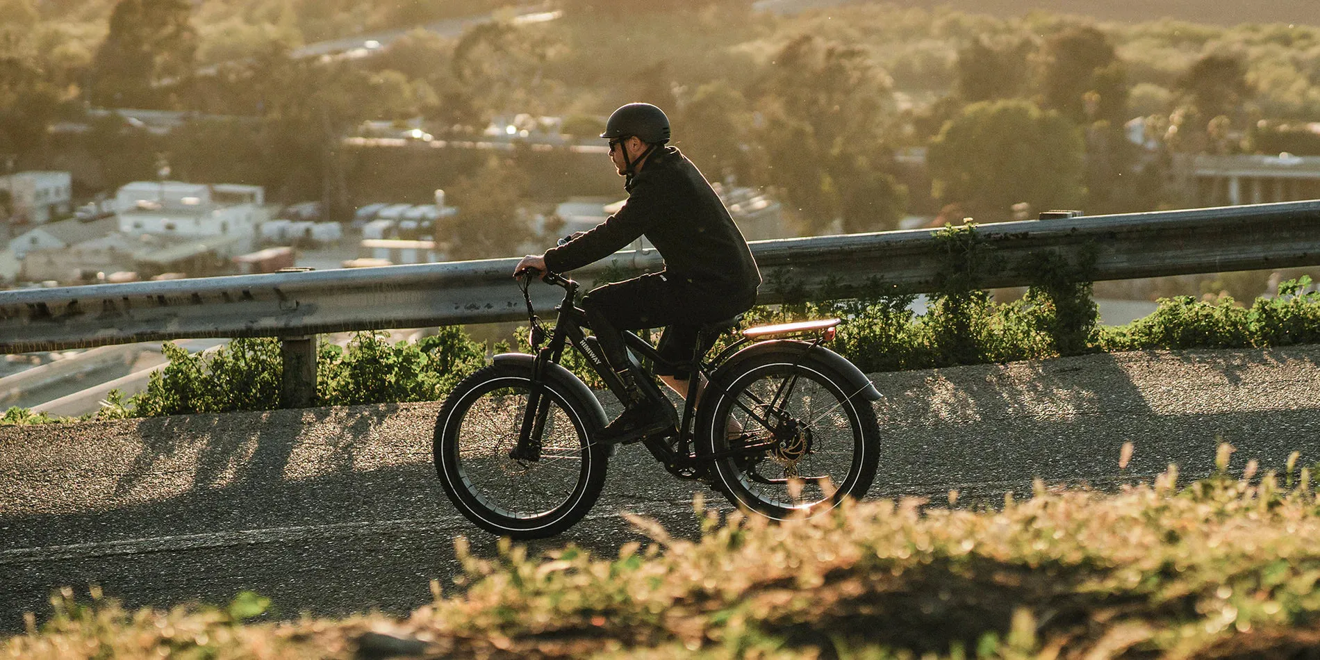 Himiway 750W D3 Cruiser Long Range Fat Tire Electric Bike