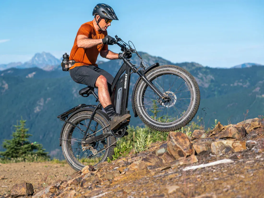 Himiway 750W D3 Cruiser Long Range Fat Tire Electric Bike