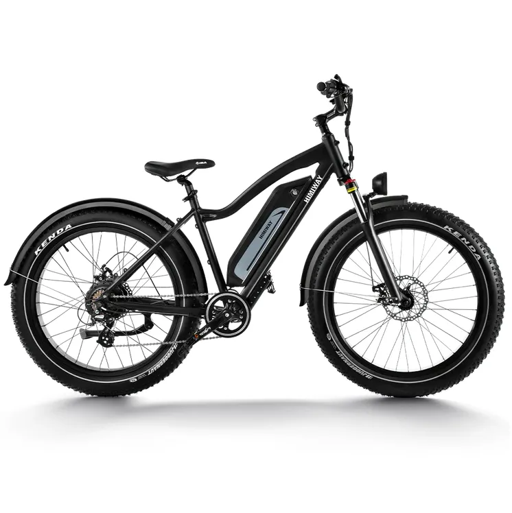 Himiway 750W D3 Cruiser Long Range Fat Tire Electric Bike