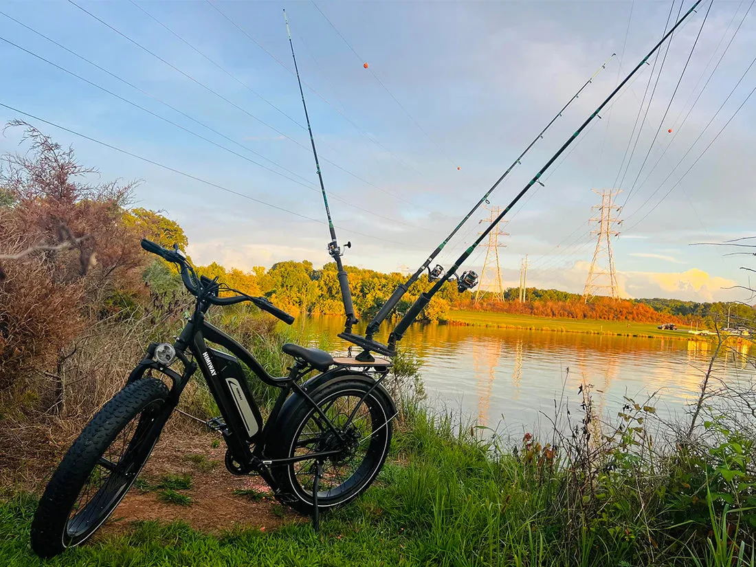 Himiway 750W D3 Cruiser Long Range Fat Tire Electric Bike