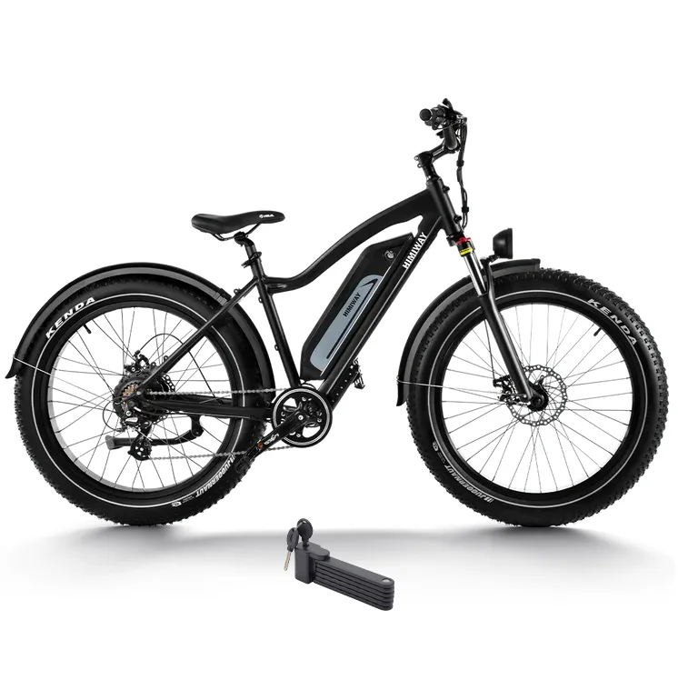 Himiway 750W D3 Cruiser Long Range Fat Tire Electric Bike