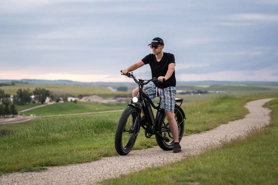 Himiway 750W D3 Cruiser Long Range Fat Tire Electric Bike