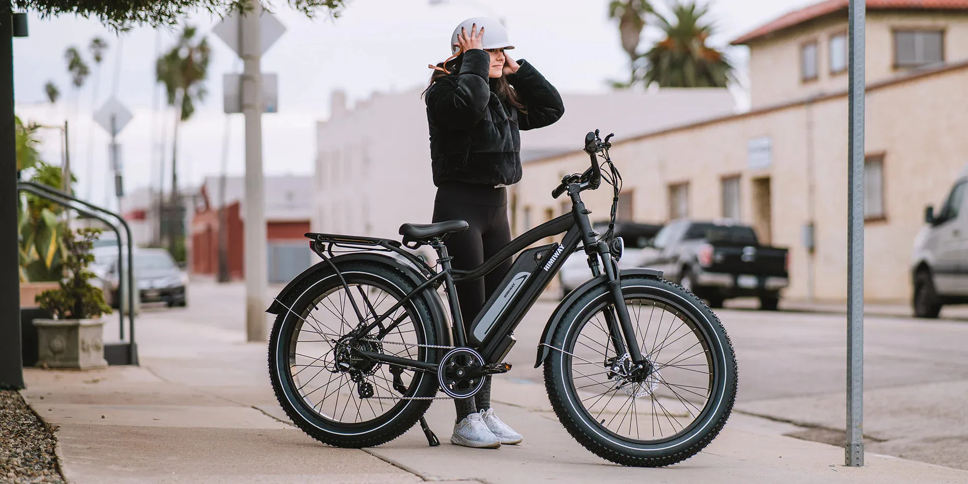 Himiway 750W D3 Cruiser Long Range Fat Tire Electric Bike