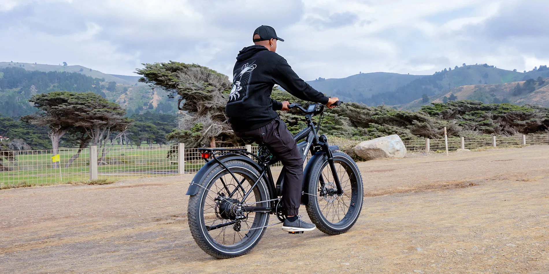 Himiway 750W D3 Cruiser Long Range Fat Tire Electric Bike