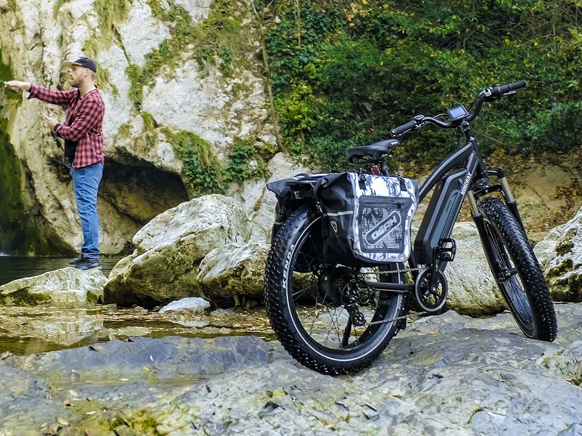 Himiway 750W D3 Cruiser Long Range Fat Tire Electric Bike