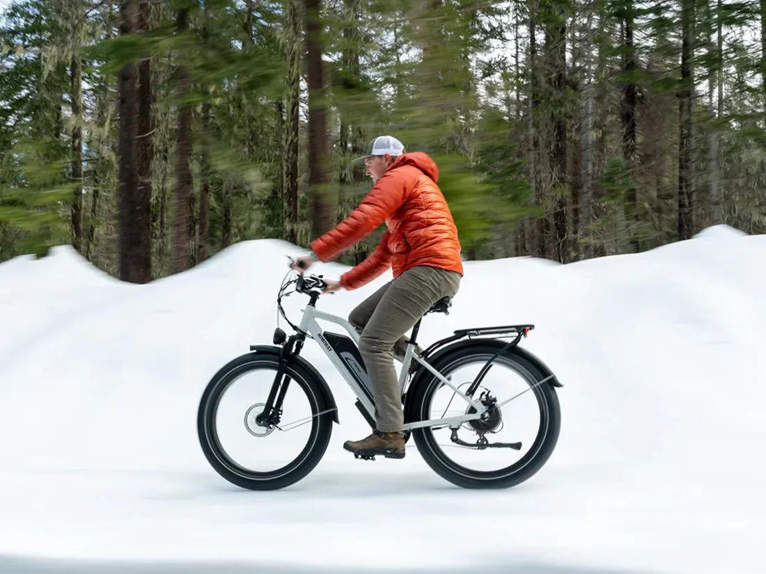 Himiway 750W D3 Cruiser Step-Thru Long Range All Terrain Electric Bike