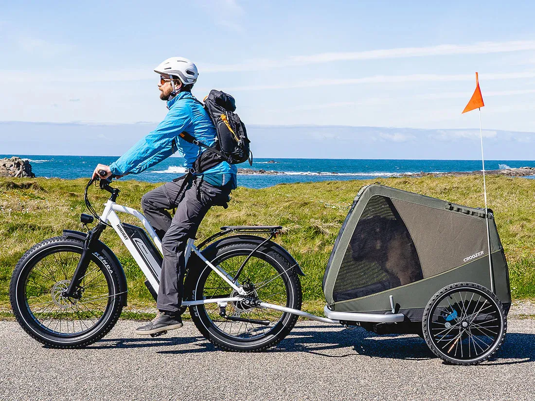 Himiway 750W D3 Cruiser Step-Thru Long Range All Terrain Electric Bike