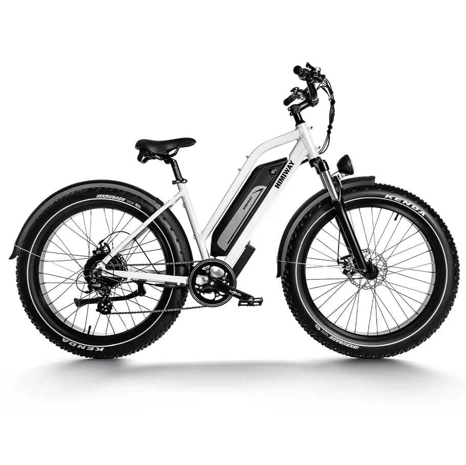 Himiway 750W D3 Cruiser Step-Thru Long Range All Terrain Electric Bike