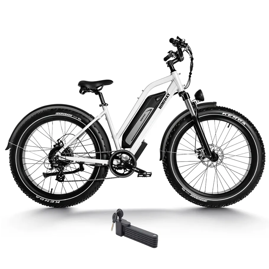 Himiway 750W D3 Cruiser Step-Thru Long Range All Terrain Electric Bike