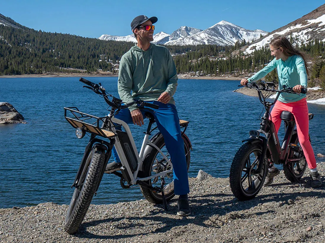 Himiway 750W D3 Cruiser Step-Thru Long Range All Terrain Electric Bike