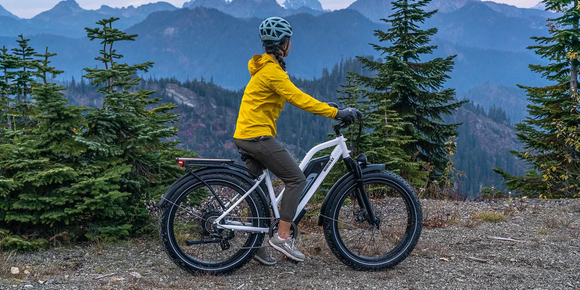 Himiway 750W D3 Cruiser Step-Thru Long Range All Terrain Electric Bike