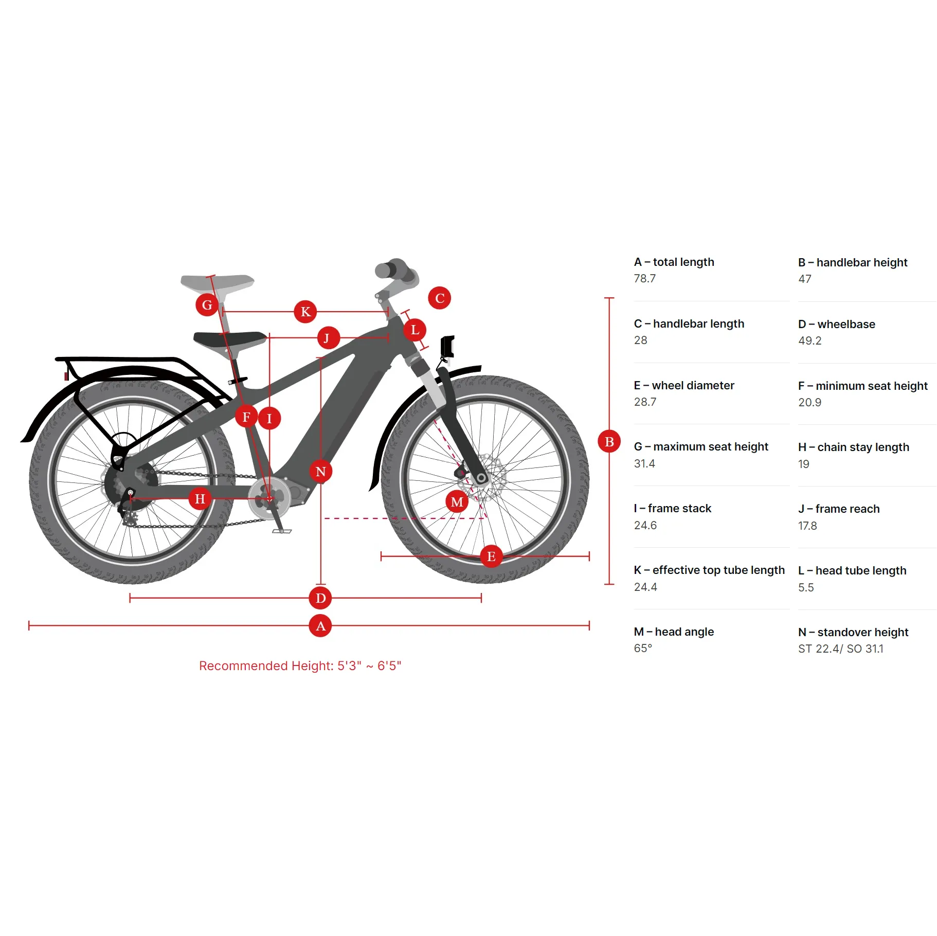 Himiway 750W D5 Zebra Premium All Terrain Electric Fat Bike