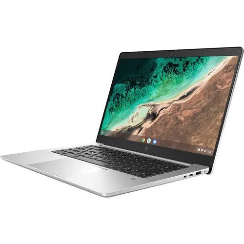 HP Elite c645 G2 14" HD Chromebook, AMD R3-5425C, 2.70GHz, 8GB RAM, 64GB eMMC, ChromeOS - 6P3K2UT#ABA