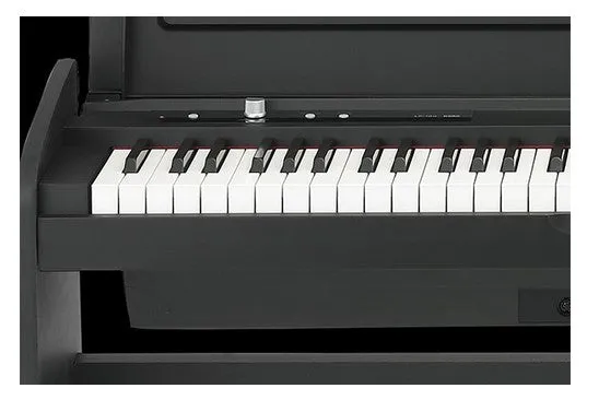 Korg LP-180 Digital Piano