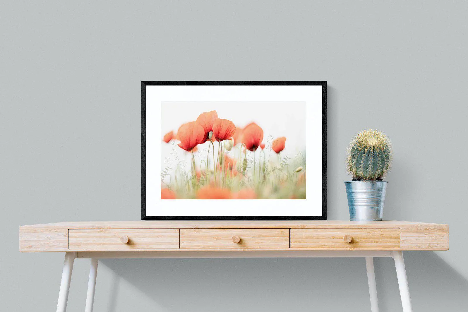 Light Poppies