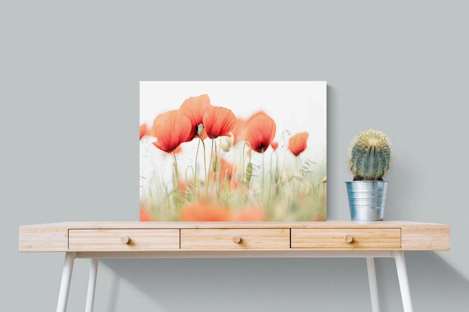 Light Poppies